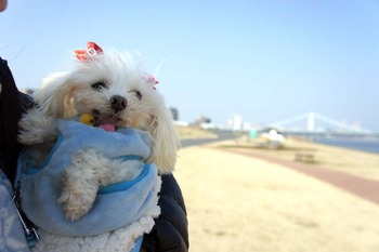 ���140226DSC05674