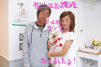 �����⥶����ʸ������������140628
