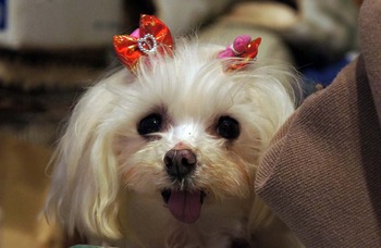 ���140222DSC05618