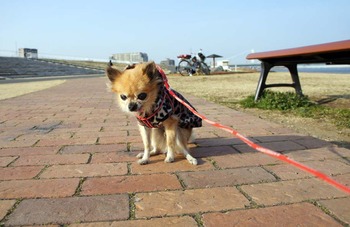 ��140226DSC05692