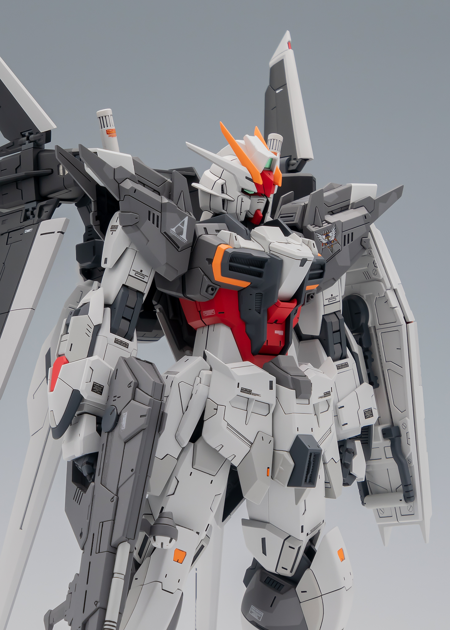 ガンプラ》MGエクスインパルスガンダム＆MGガンダムストームブリンガー 