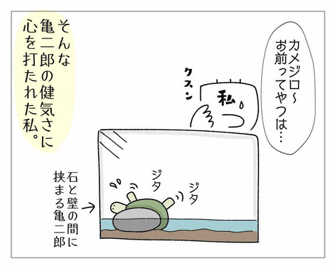 81874609-0788-4997-8D03-B1DBB12BEE5A