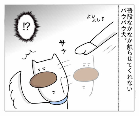 潔癖犬 コミュニケーションが難しいバウバウ犬 潔癖夫のフシギな日常 潔癖犬 コミュニケーションが難しいバウバウ犬 潔癖夫のフシギな日常