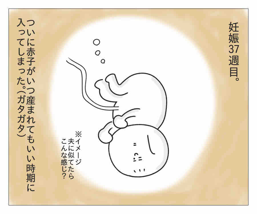 臨月 妊娠37週目レポ 潔癖夫のフシギな日常