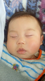 88518f6a.jpg