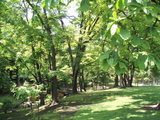 7552245e.jpg