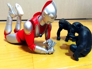 E382A6E383ABE38388E383A9E3839EE383B3_3407