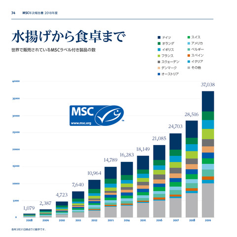MSC年次報告書2018_P34