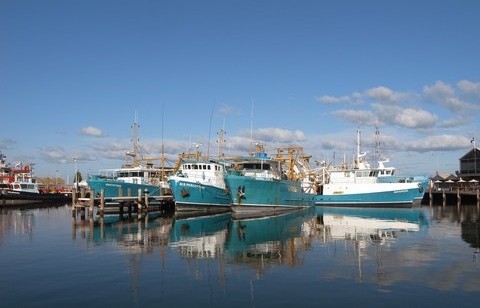 RIMG2155