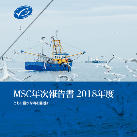 MSC年次報告書2018_P01