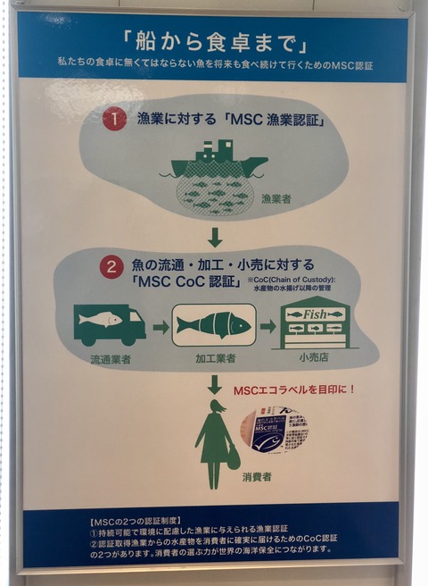 CE395DB2-639E-488F-A1E4-C8D58C857BC5