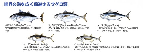 ishihara04
