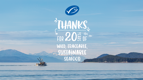 MSC 20 years thank you