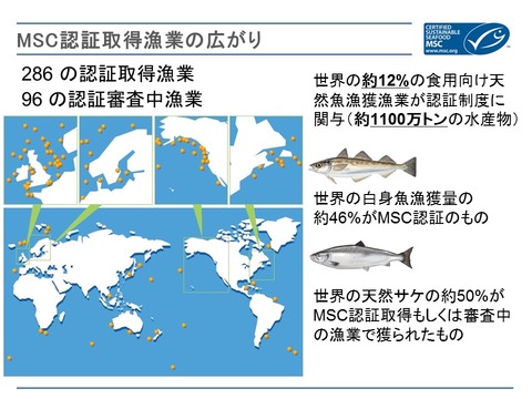 kagoshima