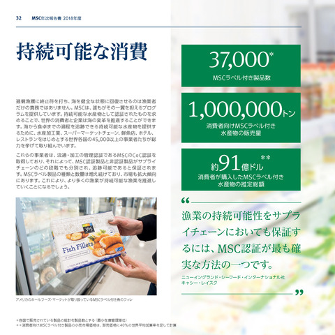 MSC年次報告書2018_P32