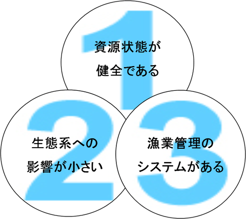 MSC3原則-2