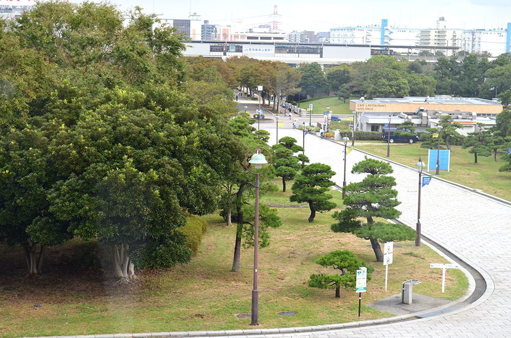 東京ベイエリア 葛西 かさい で豊かな生態系を体感しよう 海のエコラベル を知っていますか Mscジャパンブログ
