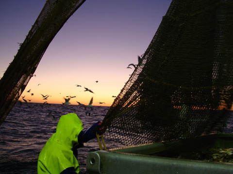 Exmouth 1