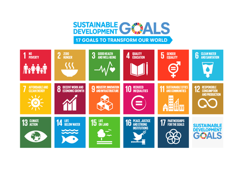 sdg_logo_en