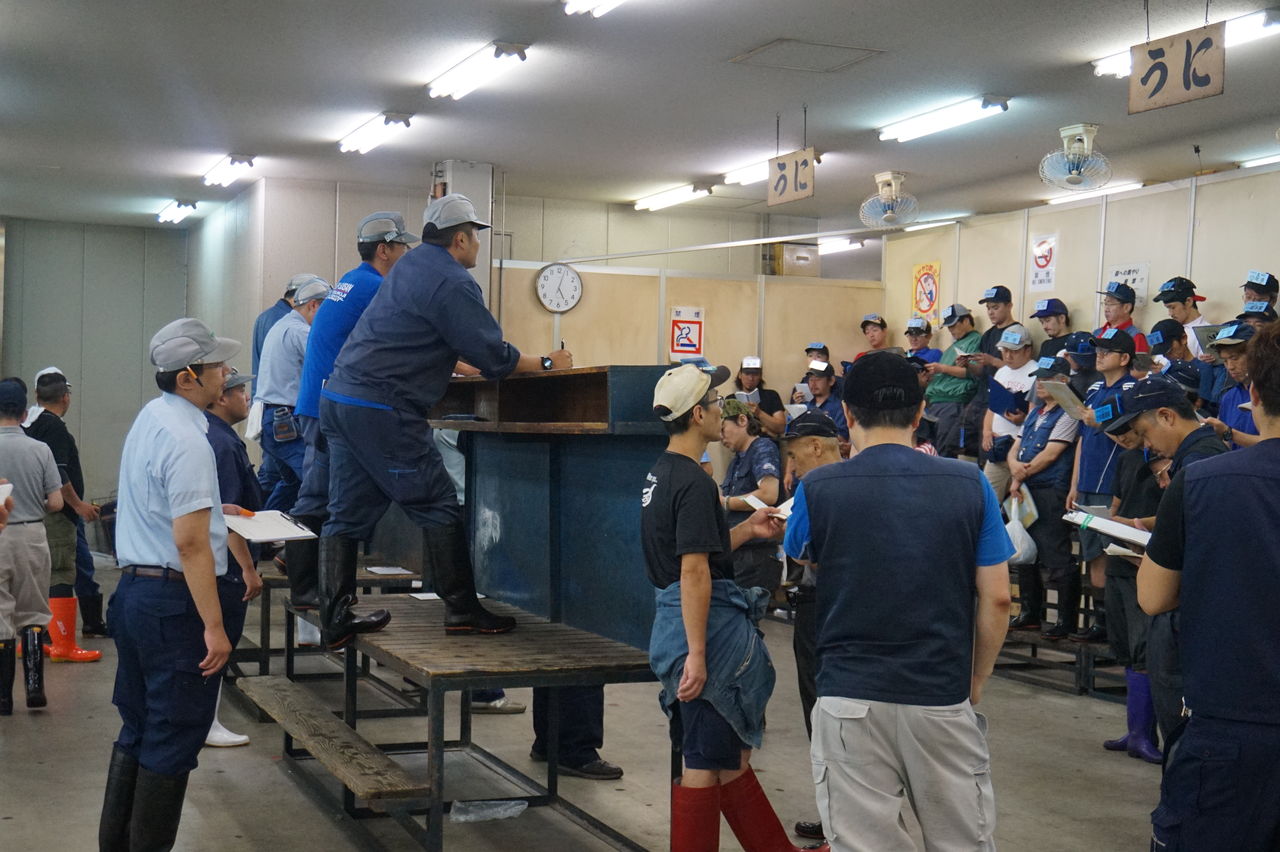 Mscインターンのブログ 活気に満ち溢れた築地市場 海のエコラベル を知っていますか Mscジャパンブログ