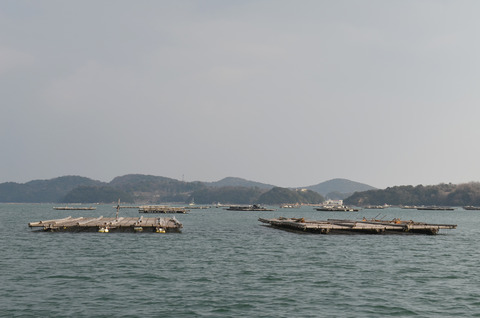DSC_0236s