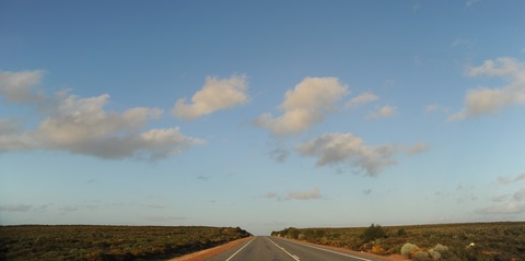 DSC_2442-1