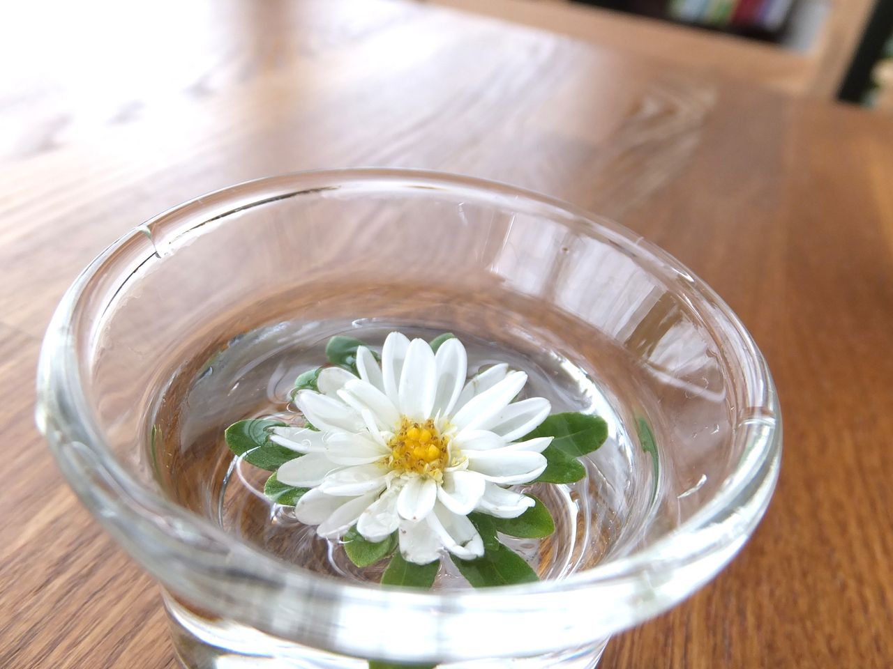 水中に浮く花 エムコレ日記 水中に浮く花 エムコレ日記