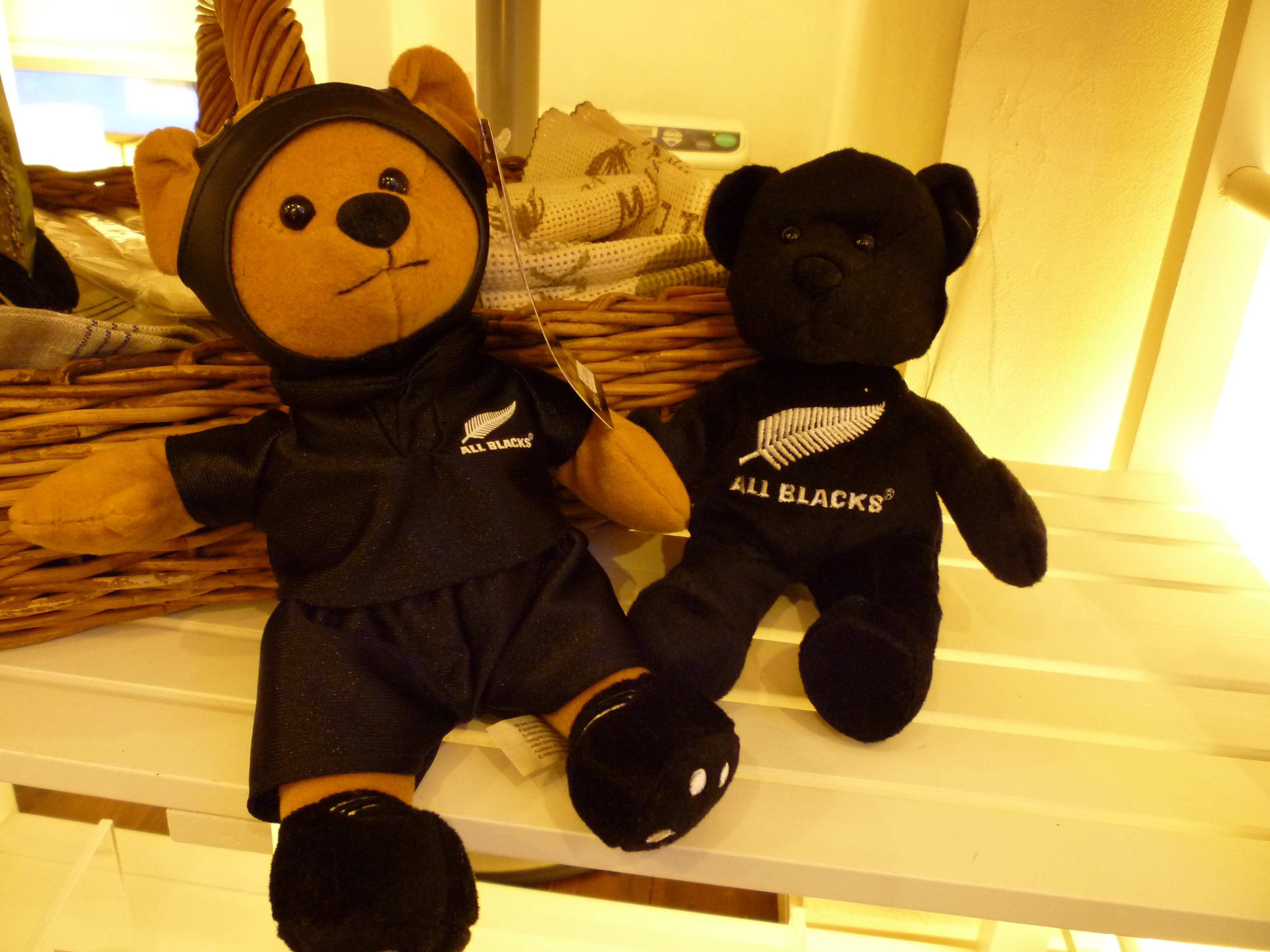 ニュージーランドからテディベアを連れてきました