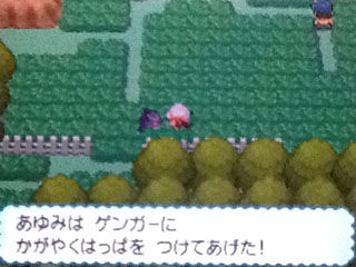 ０３８７ かがやくはっぱ みすこむぷらすぶろぐ その辺に置いといて 仮