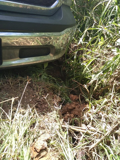 78179973_2685234841512985_5997677221886558208_o