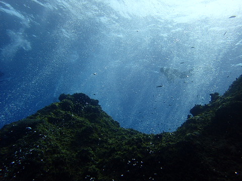 P3210209