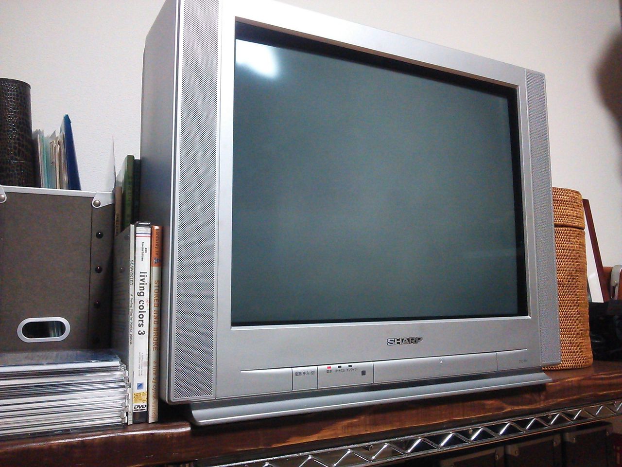 遅ればせながら液晶テレビに サンディエゴ 波乗り 研究 留学記