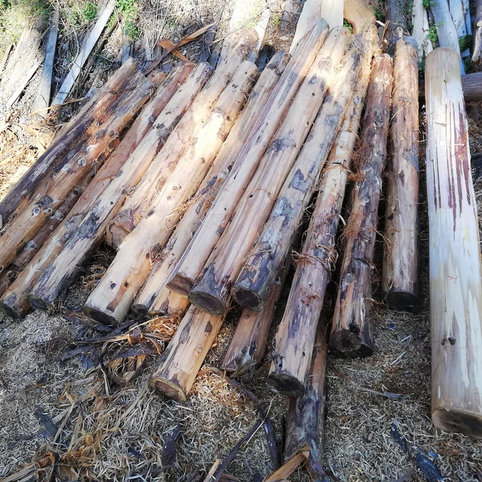 骨組み用丸太16本の皮むき 小屋を建てる コッコと羊 いきもの家族