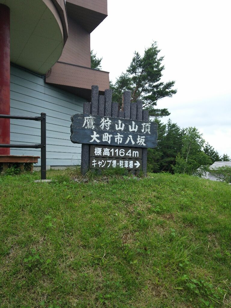 イメージ 8