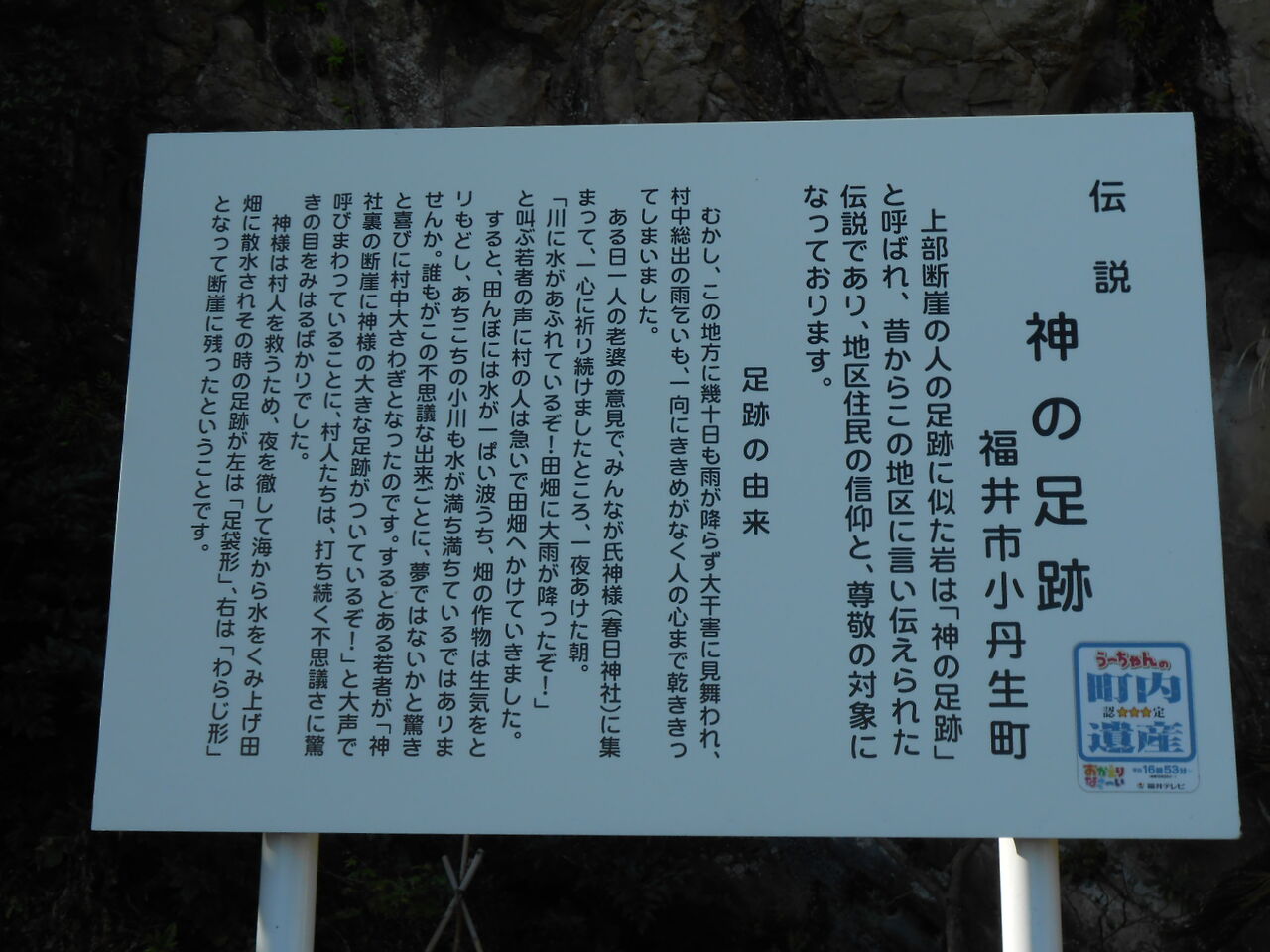 イメージ 14