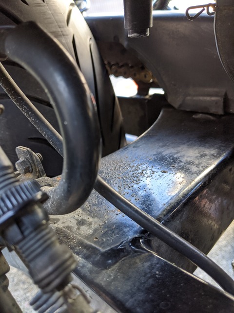 IMG_20200410_153553