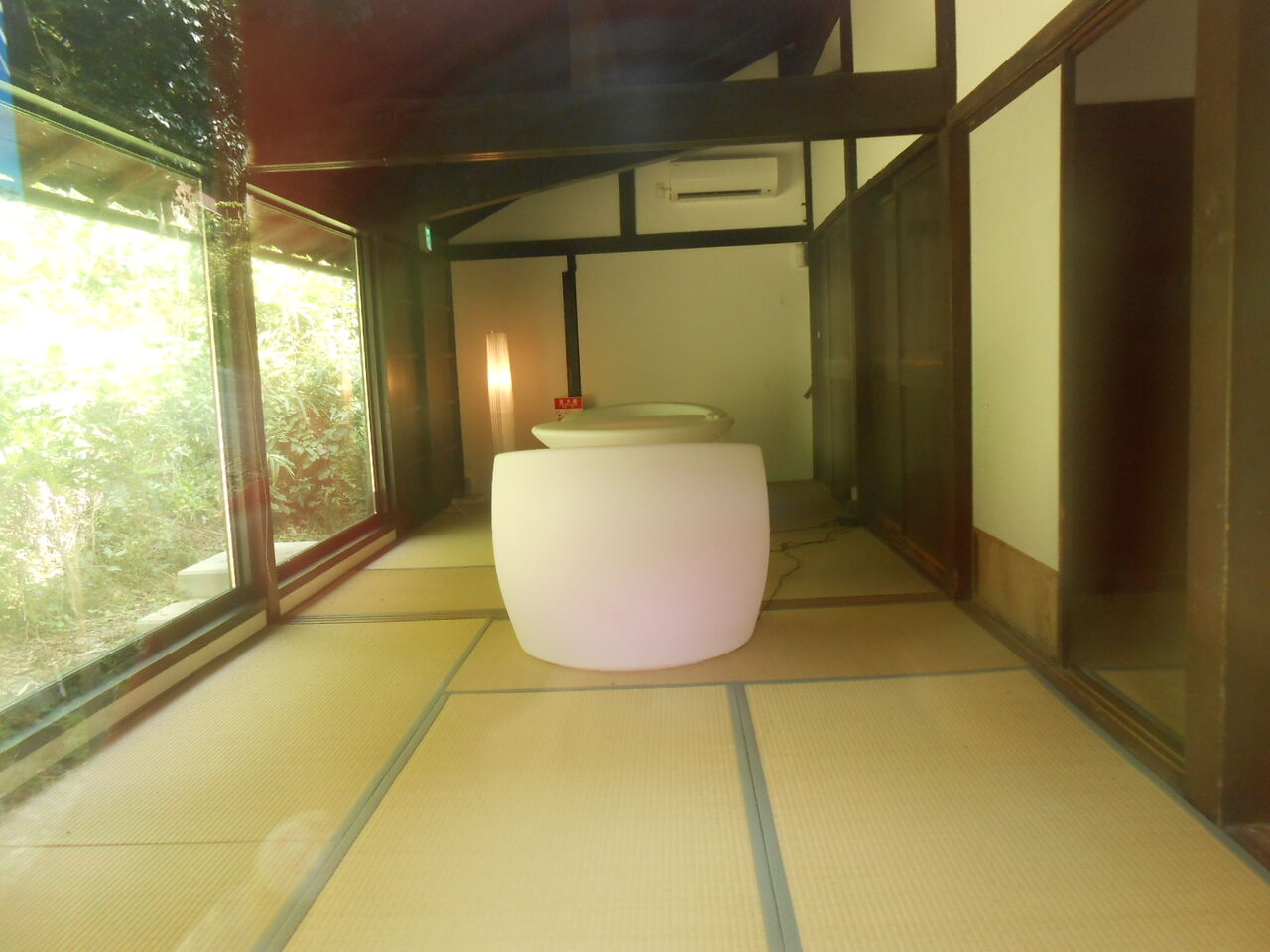 イメージ 7