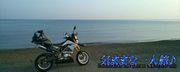 logo120x60