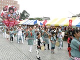 838bb696.jpg