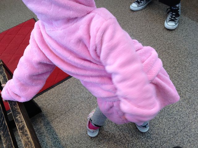 最近のお気に入り ジュエルペットのお洋服 ウチの娘の社長っぷり 最近のお気に入り ジュエルペットのお洋服 ウチの娘の社長っぷり