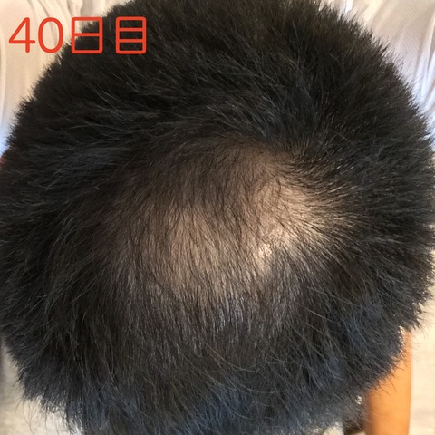 fullsizeoutput_70d