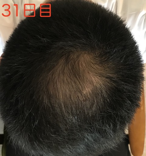 fullsizeoutput_617