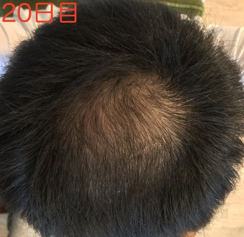 fullsizeoutput_5f1