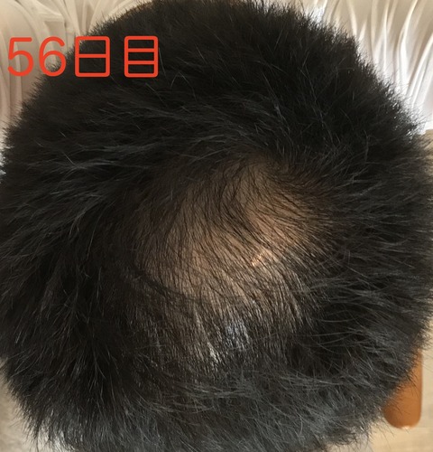 fullsizeoutput_6b8