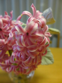 P1000168