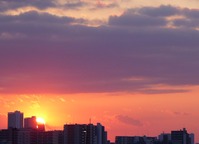 P1000178