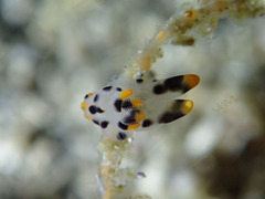 P2261236