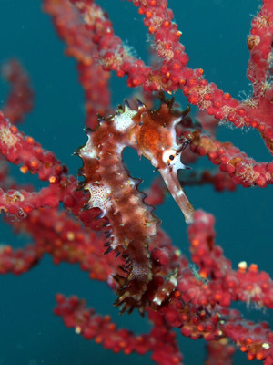 line_oa_chat_240723_161257