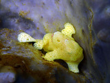 P1250130