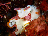 P1130876